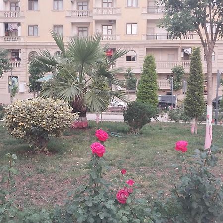 Banu House Lejlighed Sumqayıt Eksteriør billede