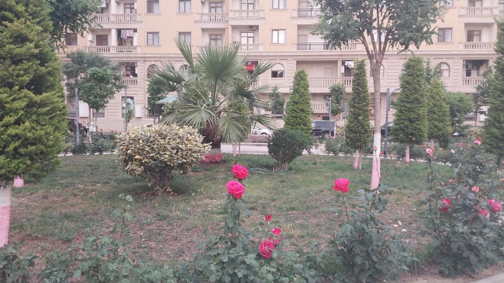 Banu House Lejlighed Sumqayıt Eksteriør billede
